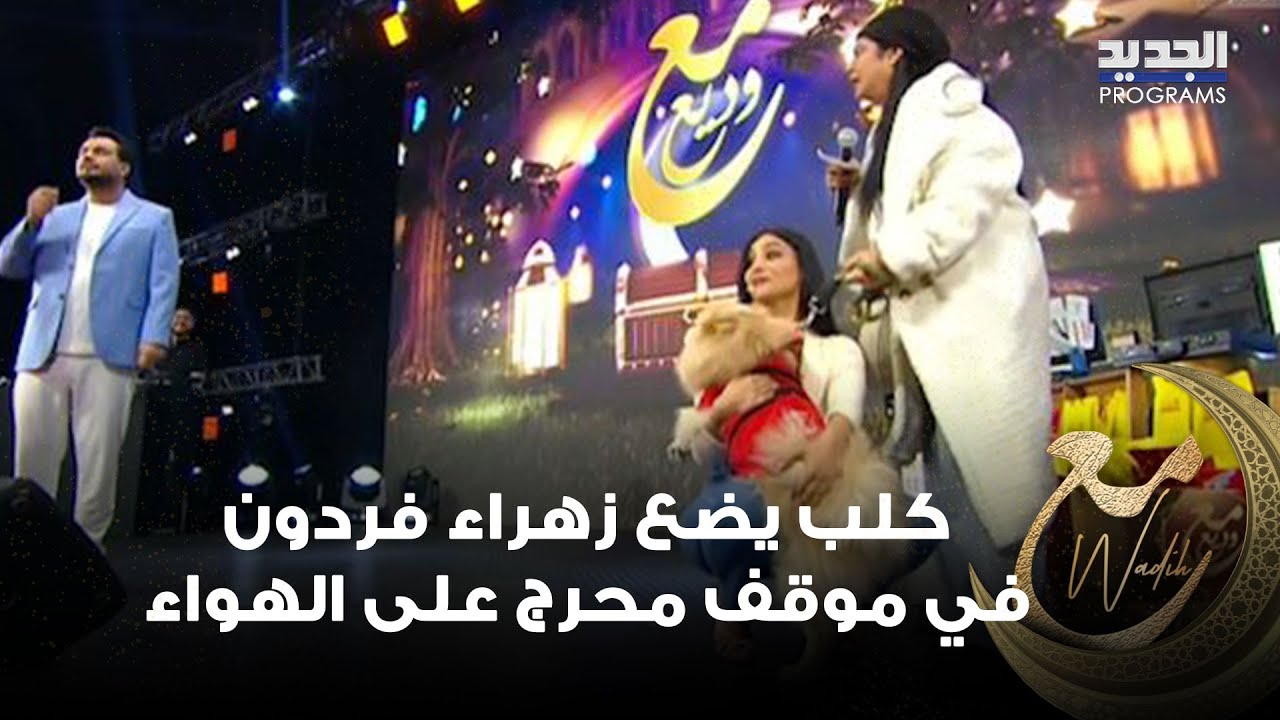 كلب يضع زهراء فردون في موقف محرج على الهواء ووديع الشيخ ينفعل بسبب ما حصل
