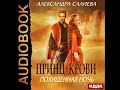 2001570 Аудиокнига. Салиева Александра "Принц крови. Книга 1. Похищенная ночь"