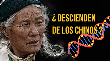 ¿Con quién comparten ADN los nativos americanos?