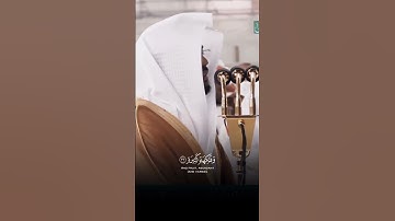 وَأَصْحَٰبُ ٱلْيَمِينِ مَآ أَصْحَٰبُ ٱلْيَمِينِ - القارئ ياسر الدوسري
