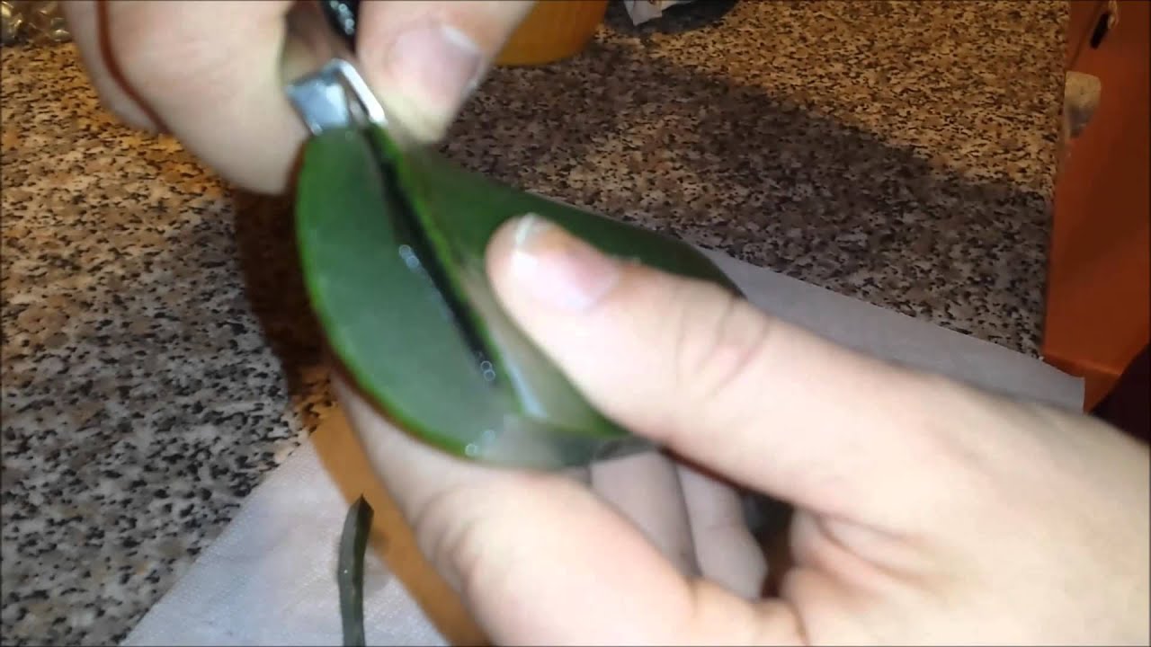 aloe vera crema benefici