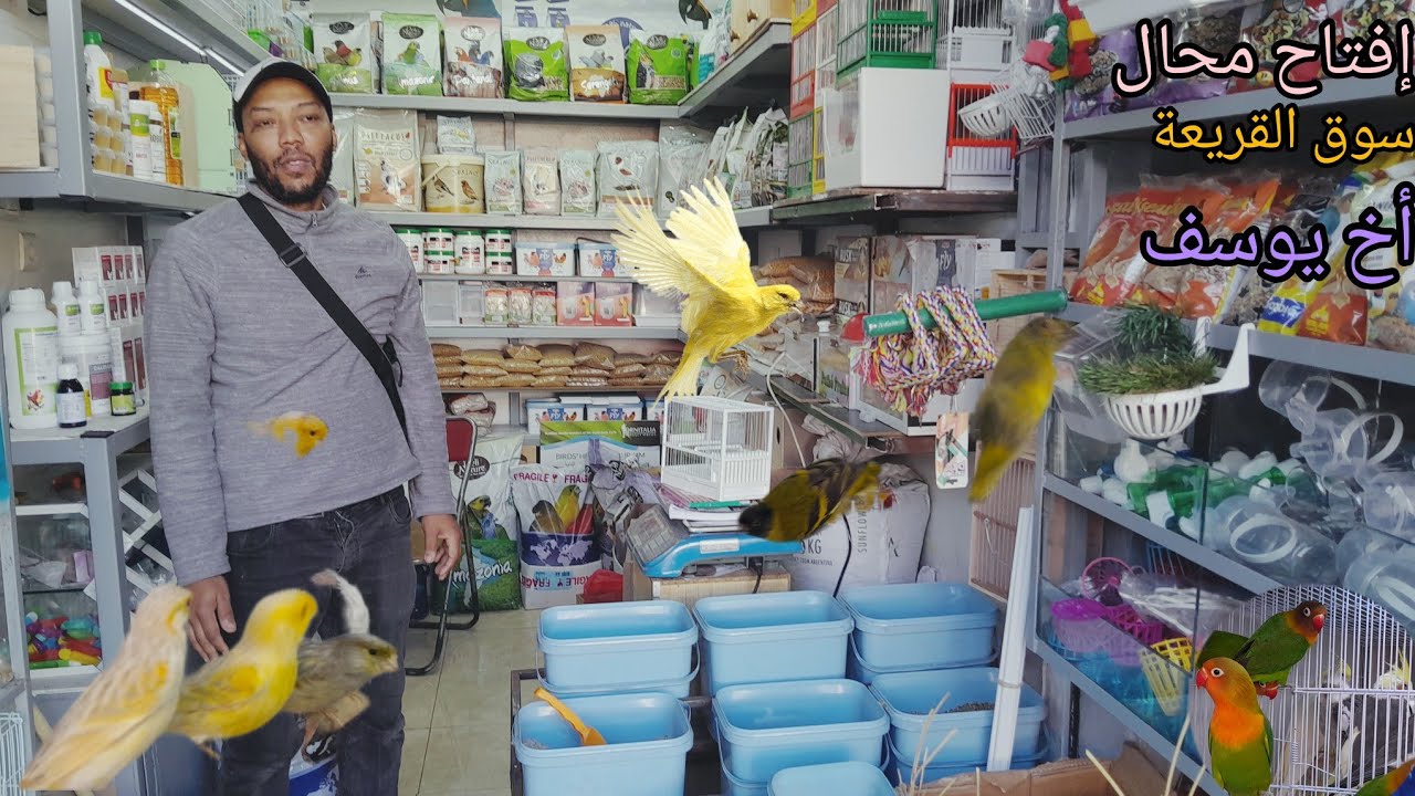 زيارة عند يوسف المحال سوق القريعة تعرف على أتمنة طيور زينة والمغردة +أقفاص وحبوب وملتزمات طيور