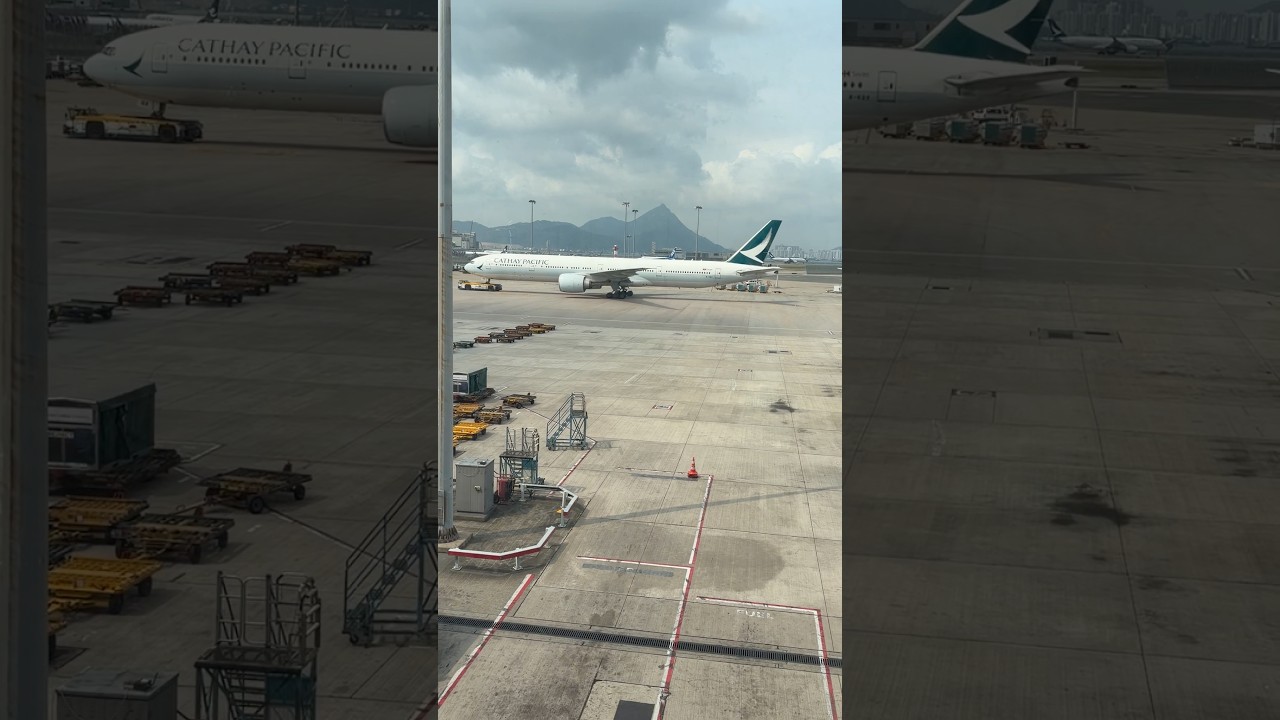 Go back to Home with chicken #2026 #chicken #airplane #airport #hongkong