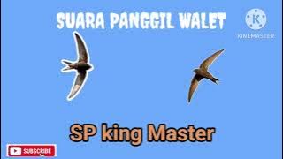 suara panggil walet || SP KING MASTER || Suara Panggil walet 2023