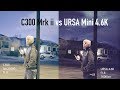 URSA Mini 4.6K vs C300 Mrkii Part 2: Image Comparison