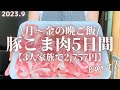 【節約レシピ】平日5日間2,757円で作る豚こま肉を使用した3人家族の晩ご飯。