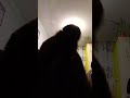 Снюсоед флексит #music