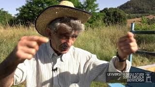 Biagio Zilembo, Allevatore Di Buoi, Cosè Una Traglia