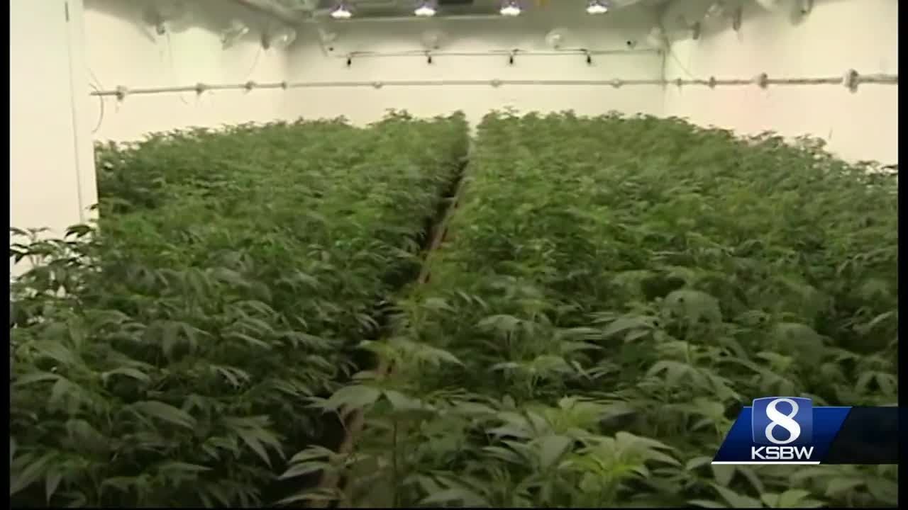 “The First Lady of Cannabis" talks to local growers at cannabis summit