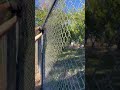 Garden Wall Project Part 1 #homerenovation #diy