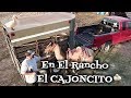 En El Rancho el( Cajoncito)  Puercos /Patos/ Vacas/ Gallos/ Caballos
