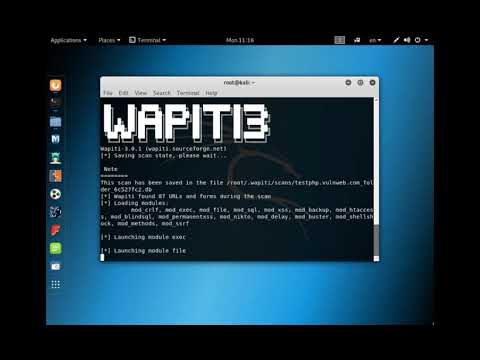 wapiti vulnerability scanner