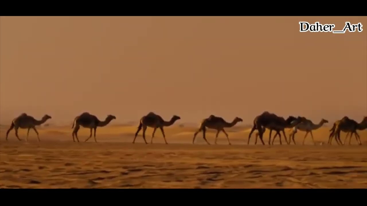 /خذوني معاكم / قصيدة للأستاذ المرحوم محمود الذخيرة... بصوت الشاعر  أحمد ظاهر