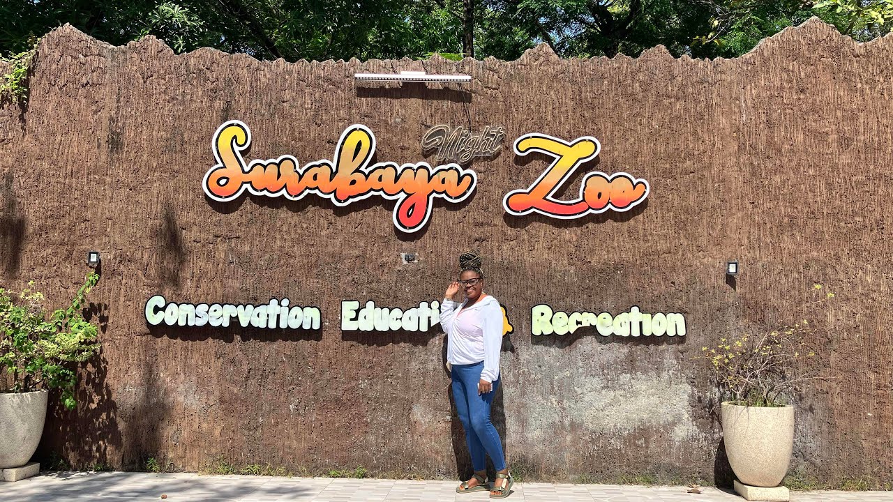 First time seeing Komodo Dragons |Surabaya Zoo