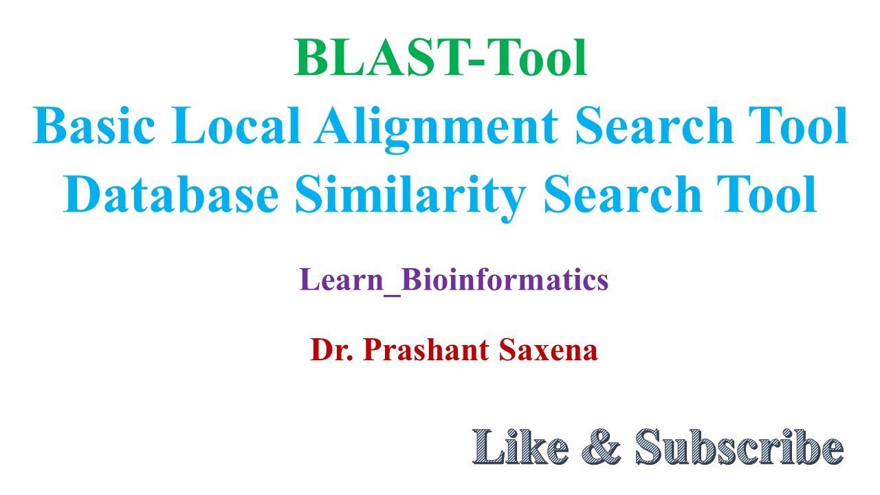 BLAST Basic Local Alignment Search Tool Practical Result Analysis BLAST Basic Local Alignment Search Tool Practical Result Analysis