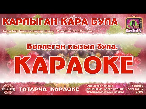 Video: Кара буудайдагы кармагычта Холдендин көйгөйү эмнеде?