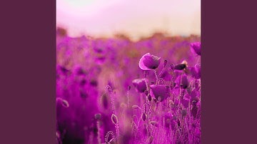 Unique Backdrops for Deep Points