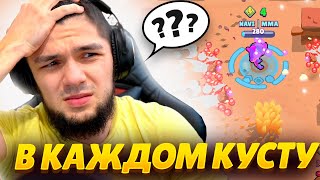 Кругом 🐀 - Вернулся На Охотку В Шд И Офигел С Того Что Здесь Творится!