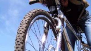 Stephane Manos- fitness Content