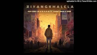 Ziyangkhalela ft. Ryan Mchunu