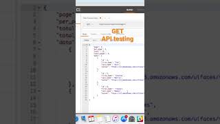API testing with TechieQA screenshot 2