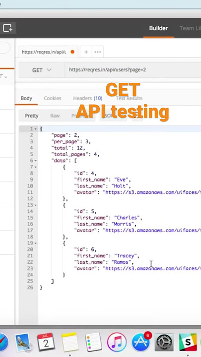 API testing with TechieQA