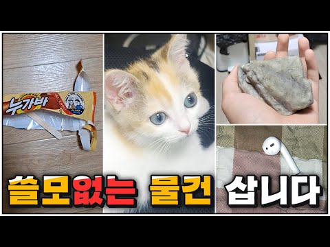 남들이 절대 안사는 물건 사보기!
