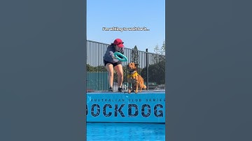 Practice makes progress 💪 #dockdiving #dockdogs #australiancattledog #apawlopets