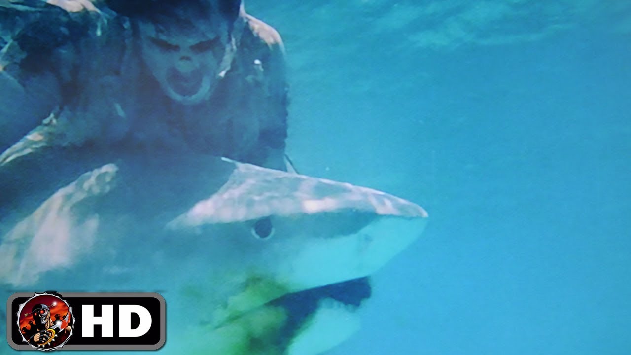 ZOMBI 2 "Zombie vs Shark" clip (1979) Italian Zombie