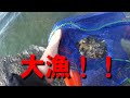 【海で魚釣り】三浦半島の秘境に行ってみた！