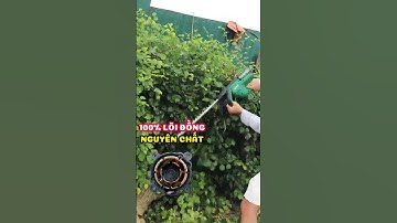 Máy cắt tỉa hàng rào Workfix tiết kiệm thời gian và công sức