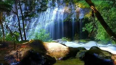 أجمل و أعذب تلاوة خاشعة يسمعها قلبك #سورة الكهف كاملة !!