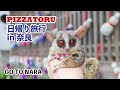 猿と日帰り旅行in奈良 Bushbaby the Pizzatoru / Go to NARA  / ショウガラゴのピザトル