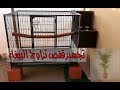 تجهيز قفص تزاوج الببغاء cage for mating parrot