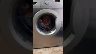 40 Grados