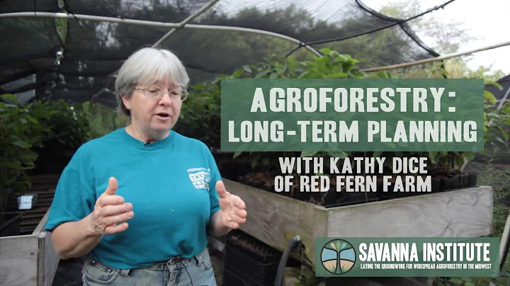 Long Term Planning with Kathy Dice of Red Fern Farm
