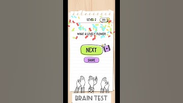 Brain Test: Tricky Puzzles Level 2