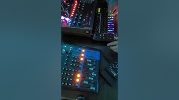 Live Techno // Quadrantid Swarm // Moog // Music On All Platforms #Techno #Dance ‎@Djaxiomofficial