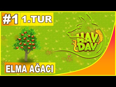 HİÇ BU KADAR ZORLANMAMIŞTIK !│HAY DAY 500 TİLKİ