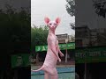     نجومي
