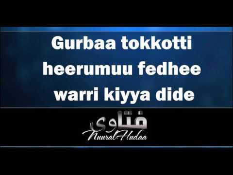 Gurbaa Tokkotti Heerumuu Fedhee Warri Kiyya Dide