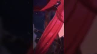 Yae Miko Genshin Impact Edit