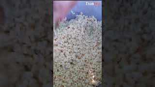 Повар Иван ждет казаков на ужин