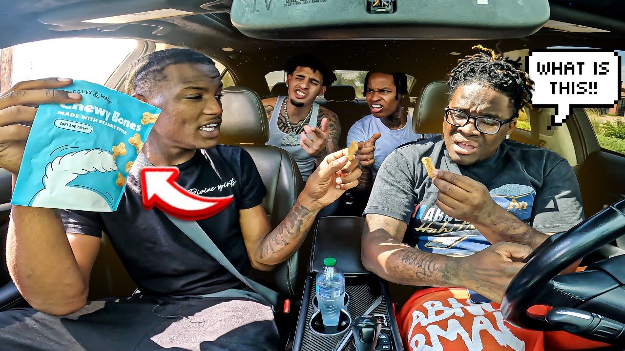 eating-dog-treats-infront-the-gang-to-see-how-they-react-youtube