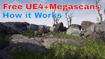 UE4+Megascans(Now Free) - How it Works ! Unreal Engine 4.24 Preview 2