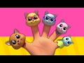 Котята Палец Семья | детский стишок | Finger Family Song | Kids Rhyme | Kittens Finger Family