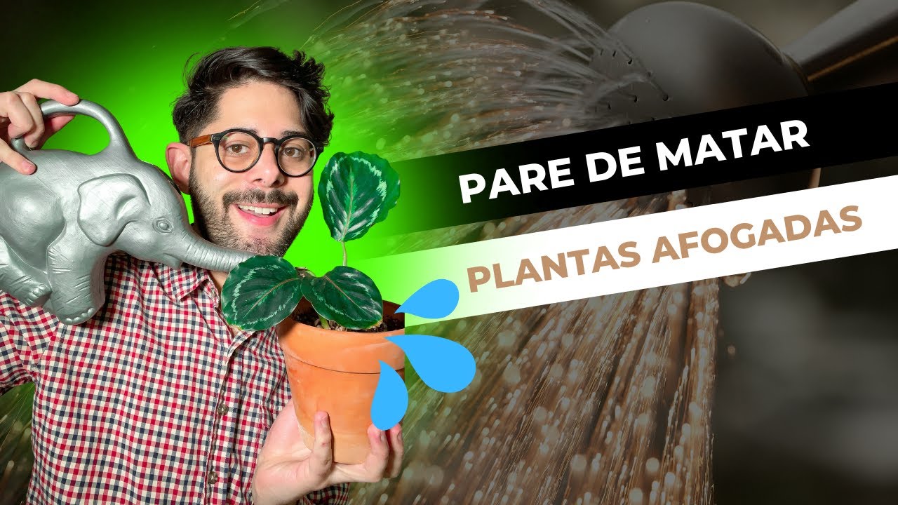 APRENDA A REGAR A SUA PLANTA CORRETAMENTE.