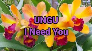 I Need You UNGU (Mix Lirik Lagu)