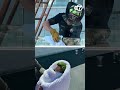 Wild SF parrot rescued after getting stuck in glass balcony