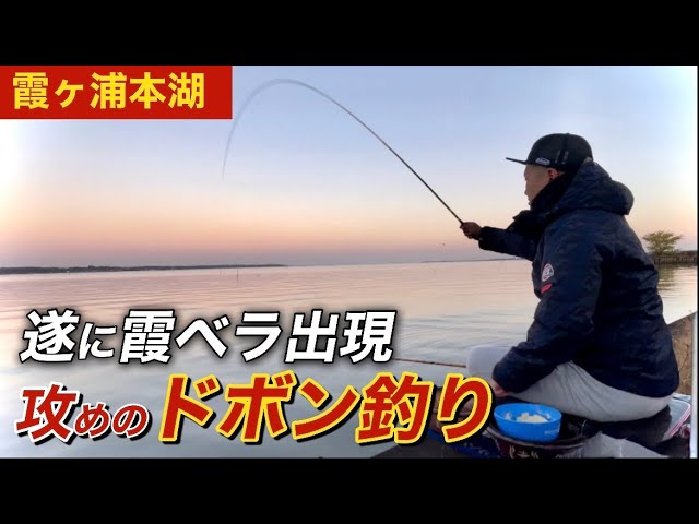 I went fishing aggressively in the main lake of Lake Kasumigaura